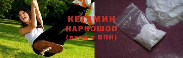 сатива Аркадак