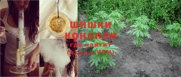 сатива Аркадак