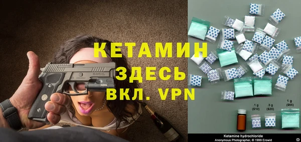 сатива Аркадак
