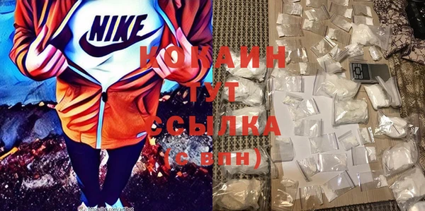сатива Аркадак