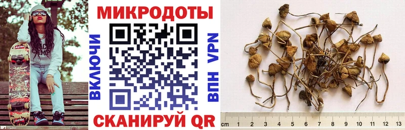 Псилоцибиновые грибы прущие грибы  Красный Холм 